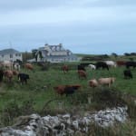 2013-09 Ireland - Castle Murray House, Dunkineely 003