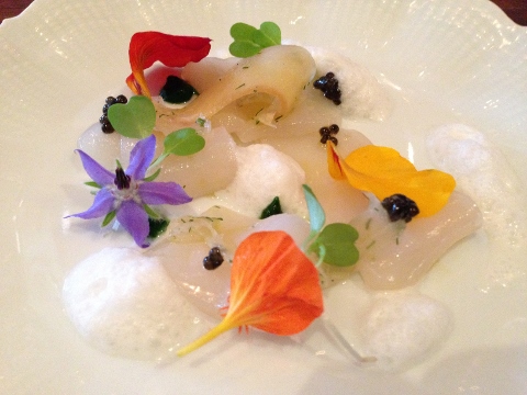 Maude 2014-03-18 023 (480x360)