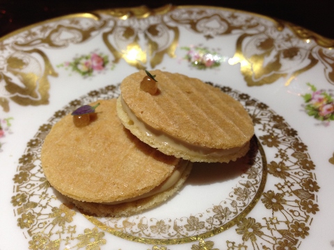 Maude 2014-03-18 044 (480x360)