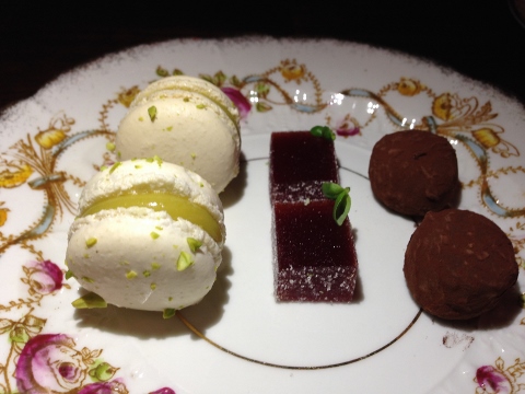 Maude 2014-03-18 055 (480x360)