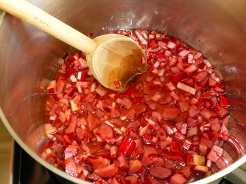 2014-04-09 014 (480x360)