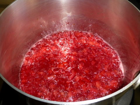 2014-04-09 016 (480x360)