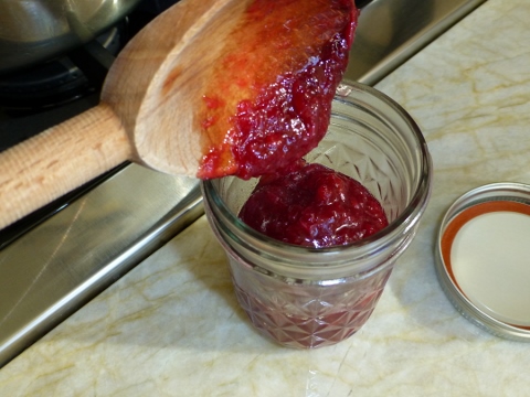 2014-04-09 018 (480x360)