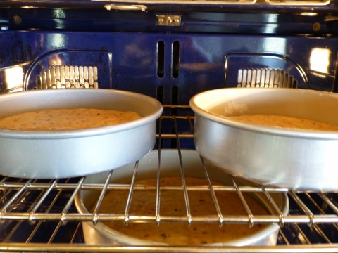 Best Carrot Cake Recipe 2014-04-19 040 (480x360)