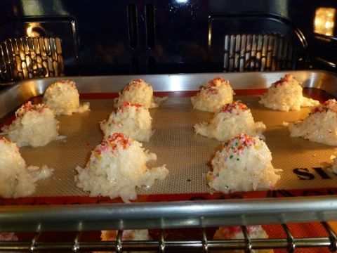 Coconut Cardamom Macaroons 2014-04-11 023 (480x360)