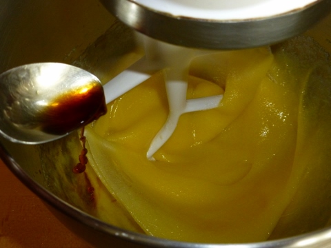 Hazelnut Chocolate Chunk Biscotti 2014-04-10 011 (480x360)