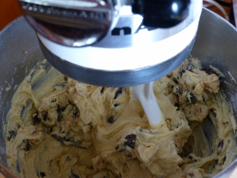 Hazelnut Chocolate Chunk Biscotti 2014-04-10 043 (480x360)