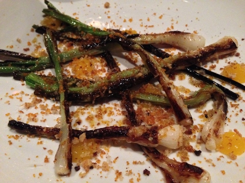 Rolf & Daughters - Nashville 2014-05-11 008 (480x360)