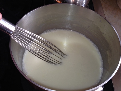 Coconut Chocolate Chip Ice Cream 2014-05-25 008 (480x360)