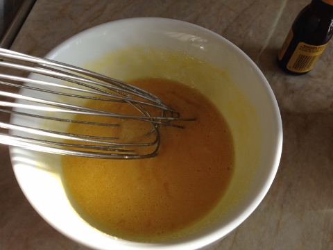 Coconut Chocolate Chip Ice Cream 2014-05-25 010 (480x360)