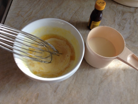 Coconut Chocolate Chip Ice Cream 2014-05-25 016 (480x360)