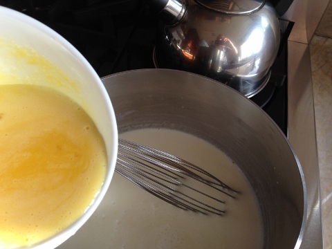 Coconut Chocolate Chip Ice Cream 2014-05-25 021 (480x360)