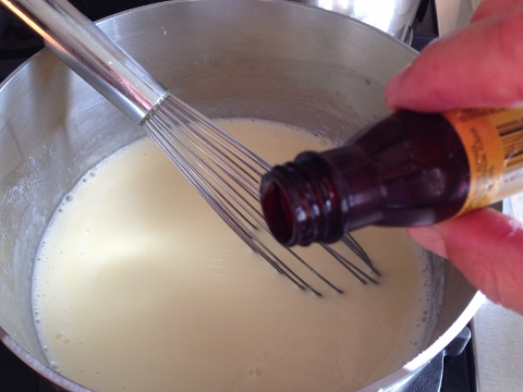 Coconut Chocolate Chip Ice Cream 2014-05-25 032 (480x360)