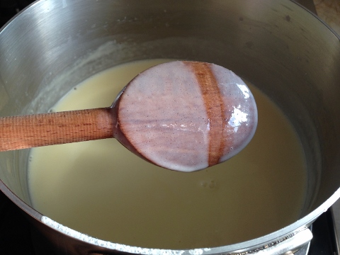 Coconut Chocolate Chip Ice Cream 2014-05-25 038 (480x360)