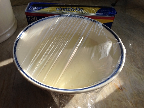 Coconut Chocolate Chip Ice Cream 2014-05-25 045 (480x360)