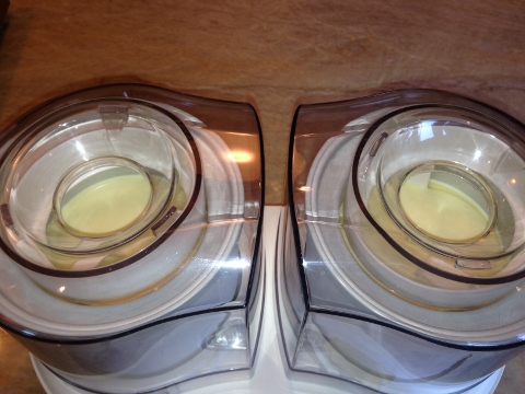 Coconut Chocolate Chip Ice Cream 2014-05-26 011 (480x360)