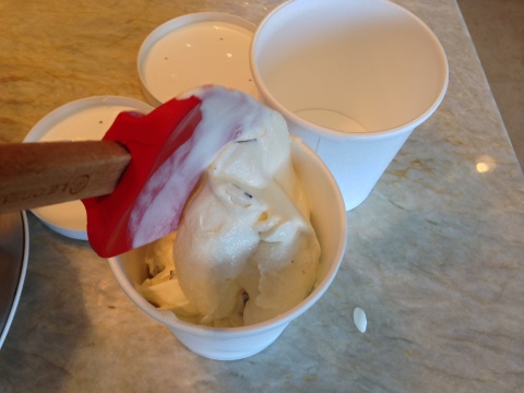 Coconut Chocolate Chip Ice Cream 2014-05-26 023 (480x360)