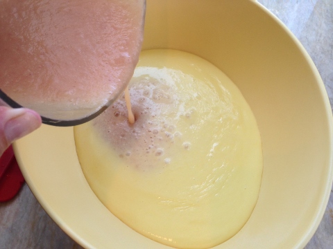 Fresh Peach Ice Cream 2014-07-03 054 (480x360)
