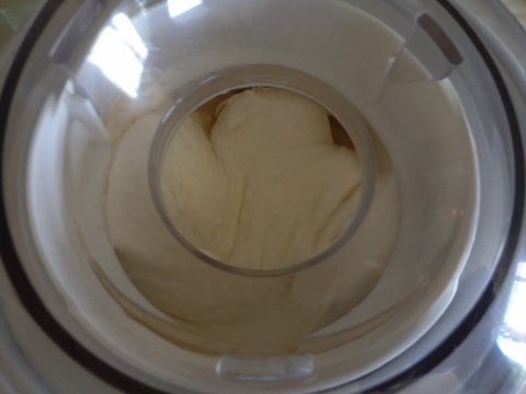 Fresh Peach Ice Cream 2014-07-04 003 (480x360)