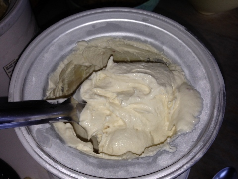 Fresh Peach Ice Cream 2014-07-04 008 (480x360)