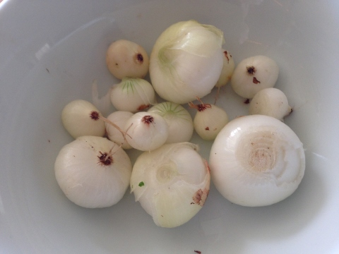 Proscuitto Wrapped Salmon with Grilled Lemon & Cippolini Onion Chutney 2014-08-04 009 (480x360)