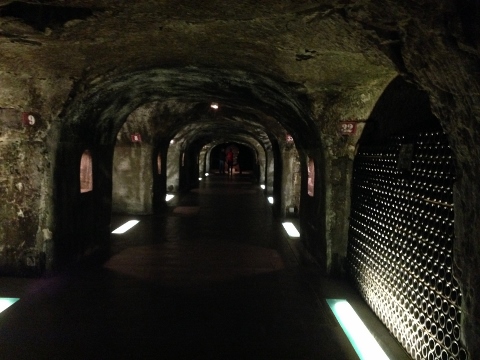 Epernay France 2014 001 (480x360)