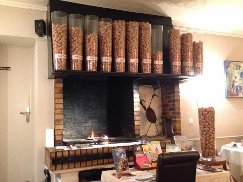 Epernay France 2014 022 (480x360)