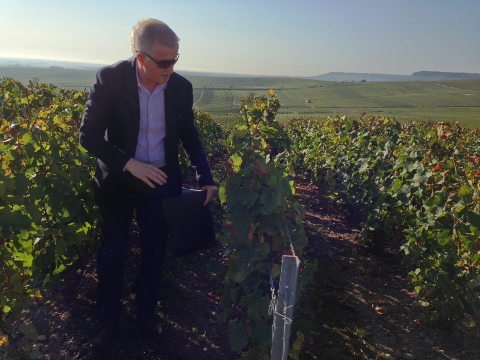 Epernay France 2014 040 (480x360)