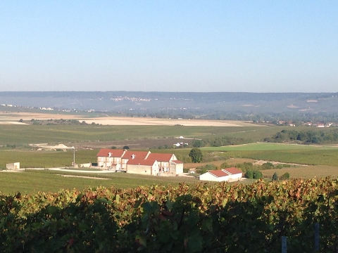 Epernay France 2014 042 (480x360)