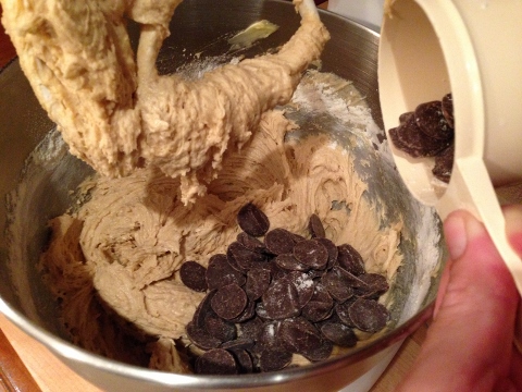 See's Candy Chocolate Chips 018 (480x360)