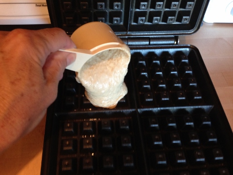 Maple Oatmeal Waffles 072 (480x360)