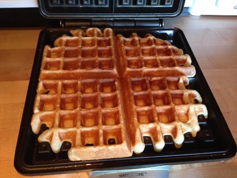 Maple Oatmeal Waffles 086 (480x360)