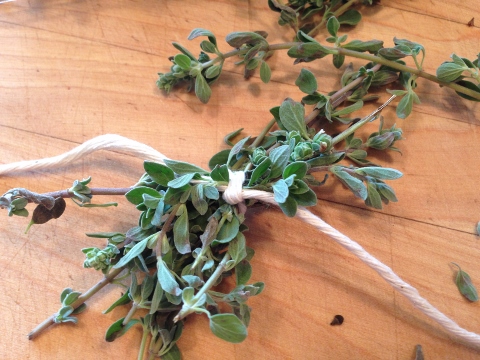 Roasted Butternut Squash & Onion Soup Recipe 005 (480x360)