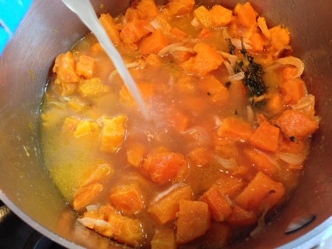 Roasted Butternut Squash & Onion Soup Recipe 025 (480x360)