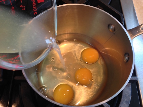 Lemon Raspberry Trifle 008 (480x360)