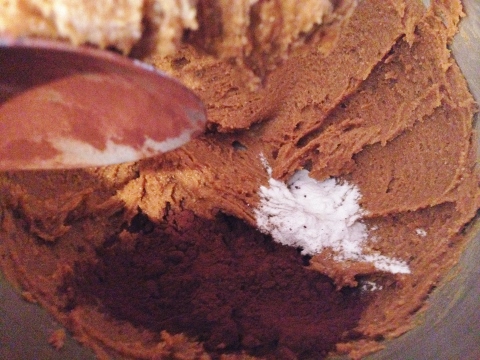 Flourless Chocolate Peanut Butter Toffee Cookies 032 (480x360)