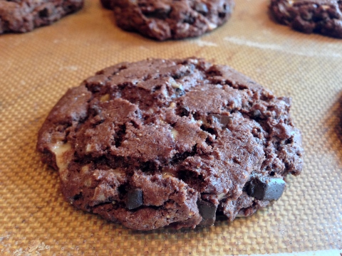 Flourless Chocolate Peanut Butter Toffee Cookies 093 (480x360)