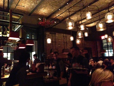 NYC - Gato 003 (480x360)