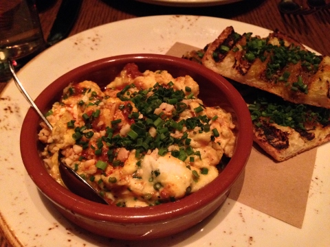 NYC - Gato 013 (480x360)