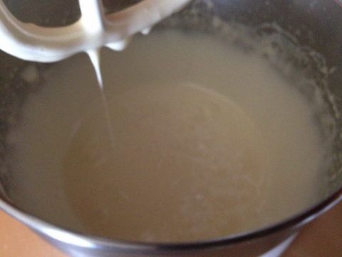 Pistachio Coconut Chocolate Biscotti 023 (480x360)