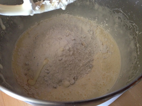 Pistachio Coconut Chocolate Biscotti 034 (480x360)