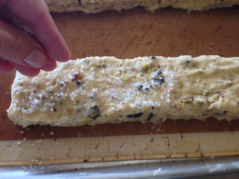 Pistachio Coconut Chocolate Biscotti 066 (480x360)