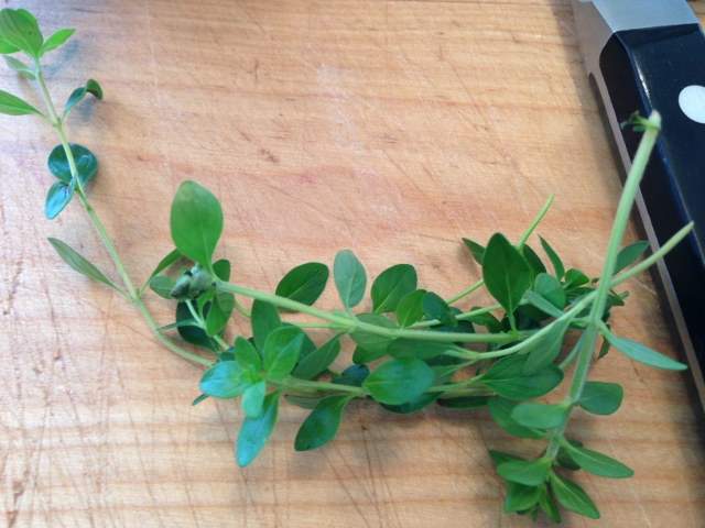 Bacon & Mushroom Toasts 005 (640x480)