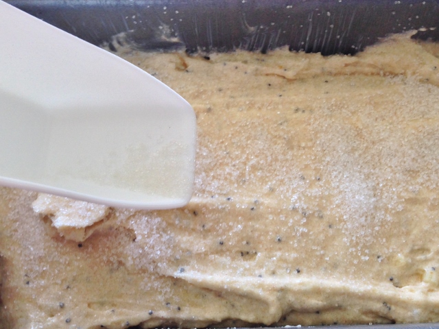 Preserved Lemon, Poppyseed & Spelt Cake 071 (640x480)