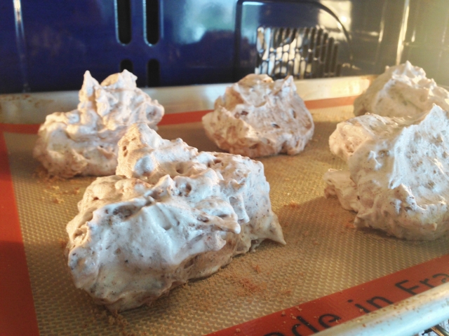 Chocolate, Cocoa Nib & Hazelnut Meringues 089 (640x480)