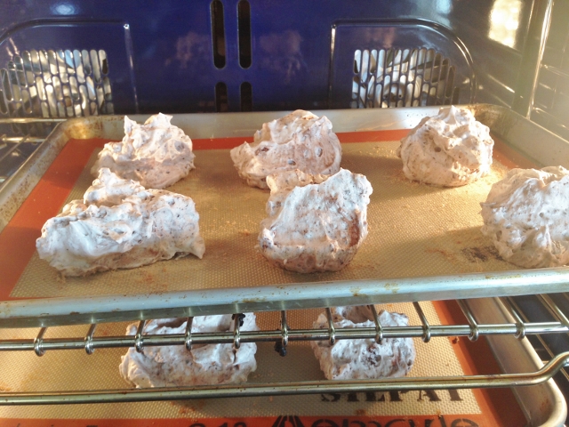 Chocolate, Cocoa Nib & Hazelnut Meringues 090 (640x480)