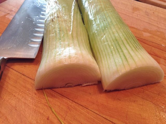 Tomato & Leek Soup 001 (640x480)