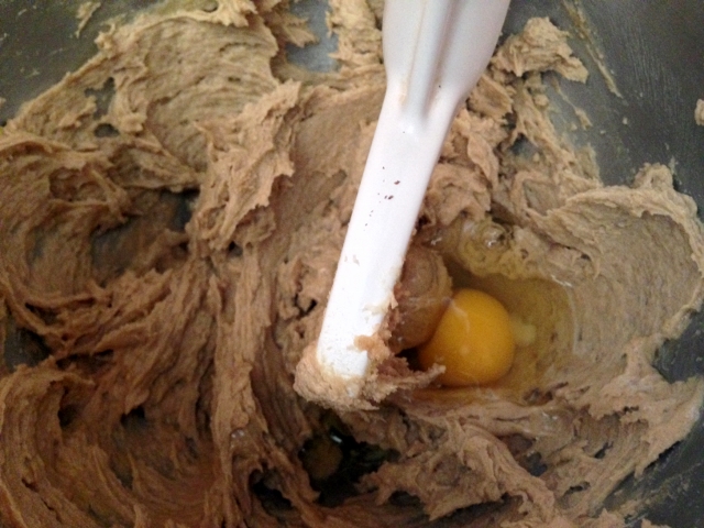 Cocoa Nib Blondies with White Chocolate Glaze 018 (640x480)