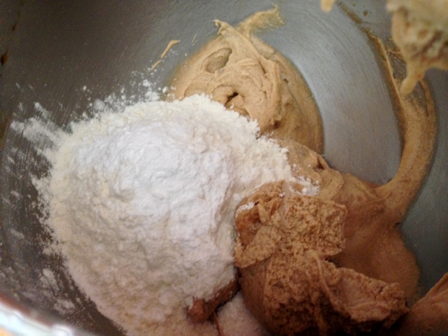 Cocoa Nib Blondies with White Chocolate Glaze 023 (640x480)