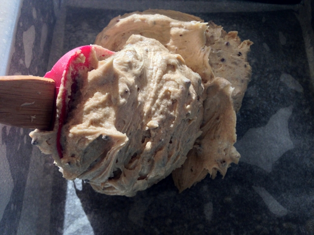 Cocoa Nib Blondies with White Chocolate Glaze 031 (640x480)